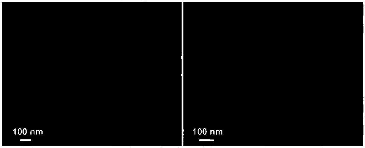 Method for preparing copper sulfide nanosheets and compound thereof by using low-temperature vulcanization technique and application