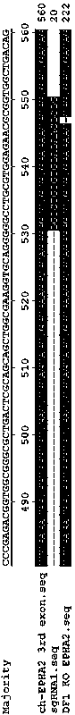 Method for constructing chicken-gene-EphA2-knocked-out cell line based on CRISPR-Cas9 editing technology