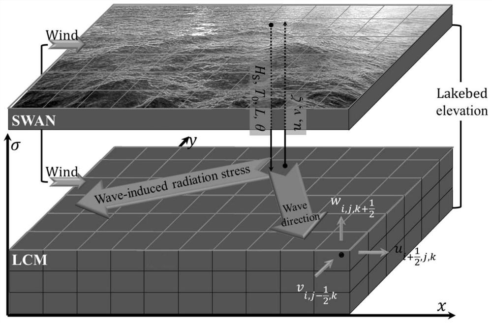 Modeling method for three-dimensional hydrodynamic numerical model of large shallow lake
