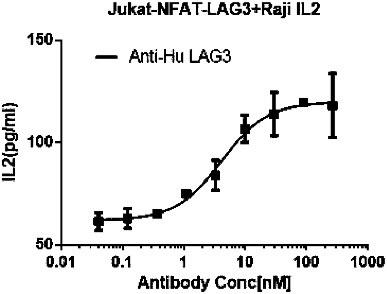 Method for determining biological activity of LAG3 (Lymphocyte Activation Gene-3) protein binding molecule