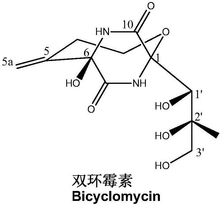 Function and application of oxidase in bicyclomycin biosynthesis
