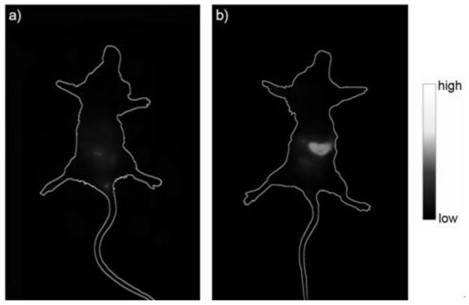 A modified carbon nano-dot with near-infrared absorption and near-infrared emission characteristics, its preparation method and application