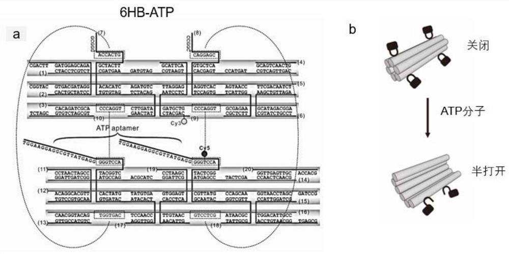 Preparation method of a dna nanorobot drug-loading system and dna nanorobot drug-loading system obtained therefrom