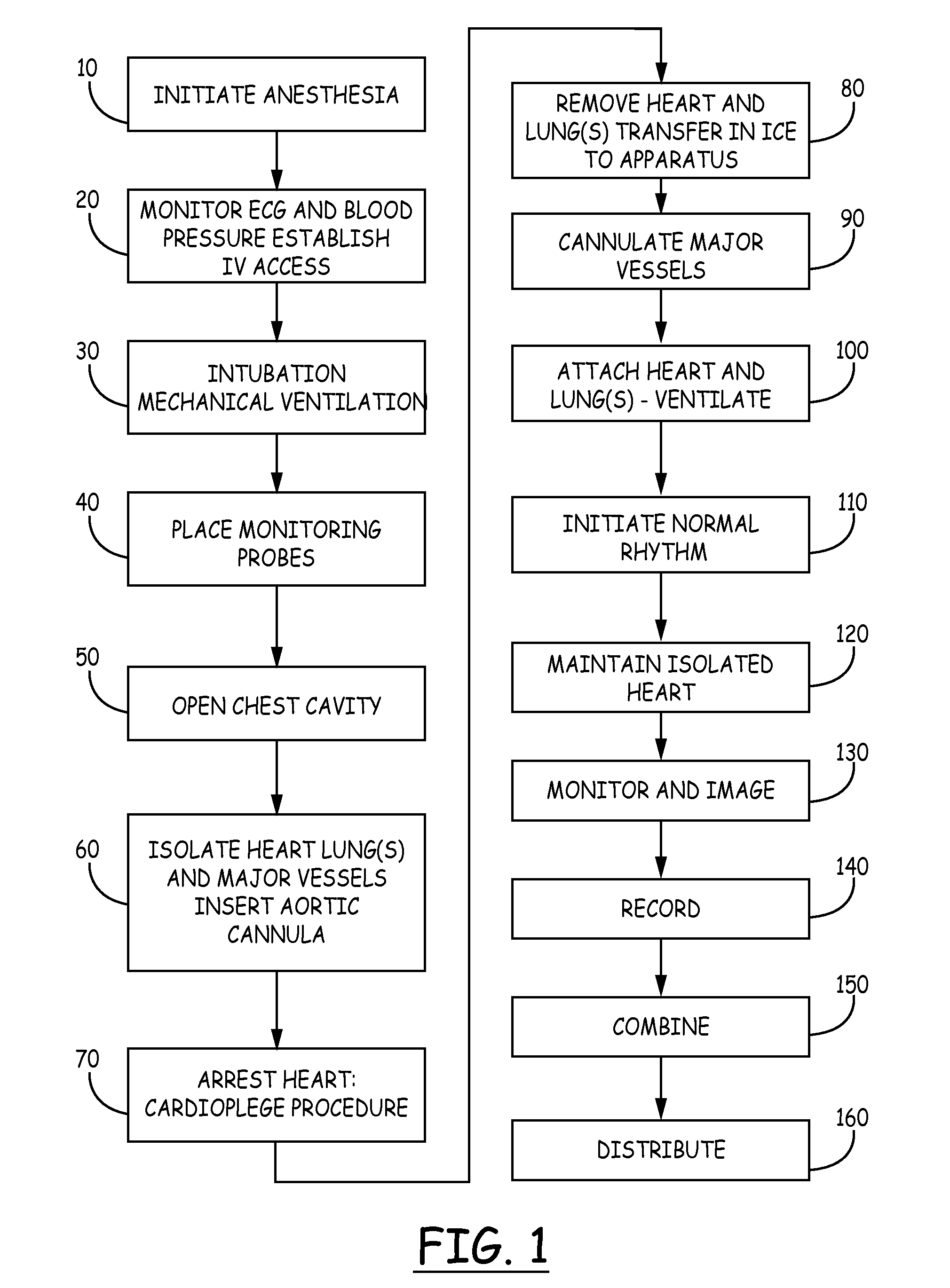 Heart-lung preparation and method of use