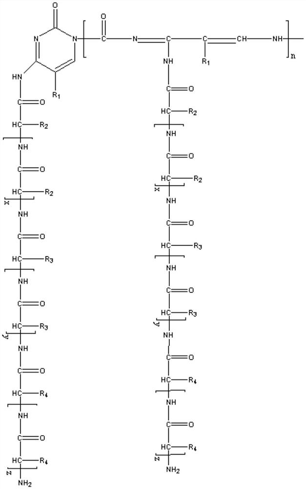 Method for preparing liquid alkali-free accelerator through ring opening of cyclic amide monomer