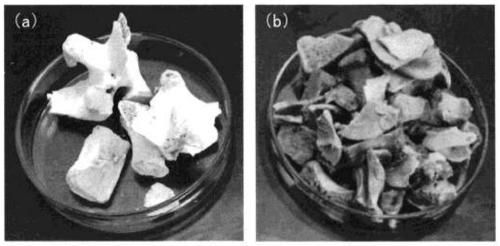 Process for producing carbonate apatite