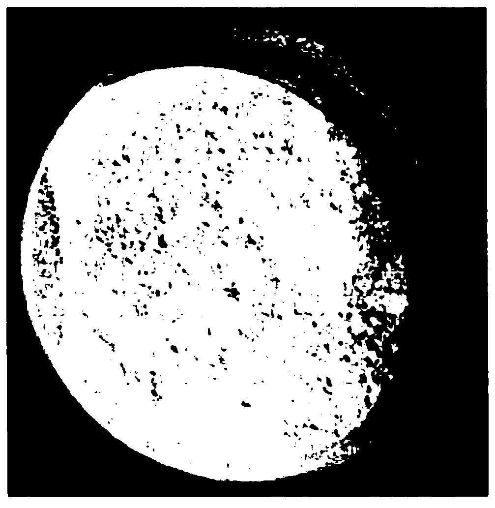 Process for producing carbonate apatite