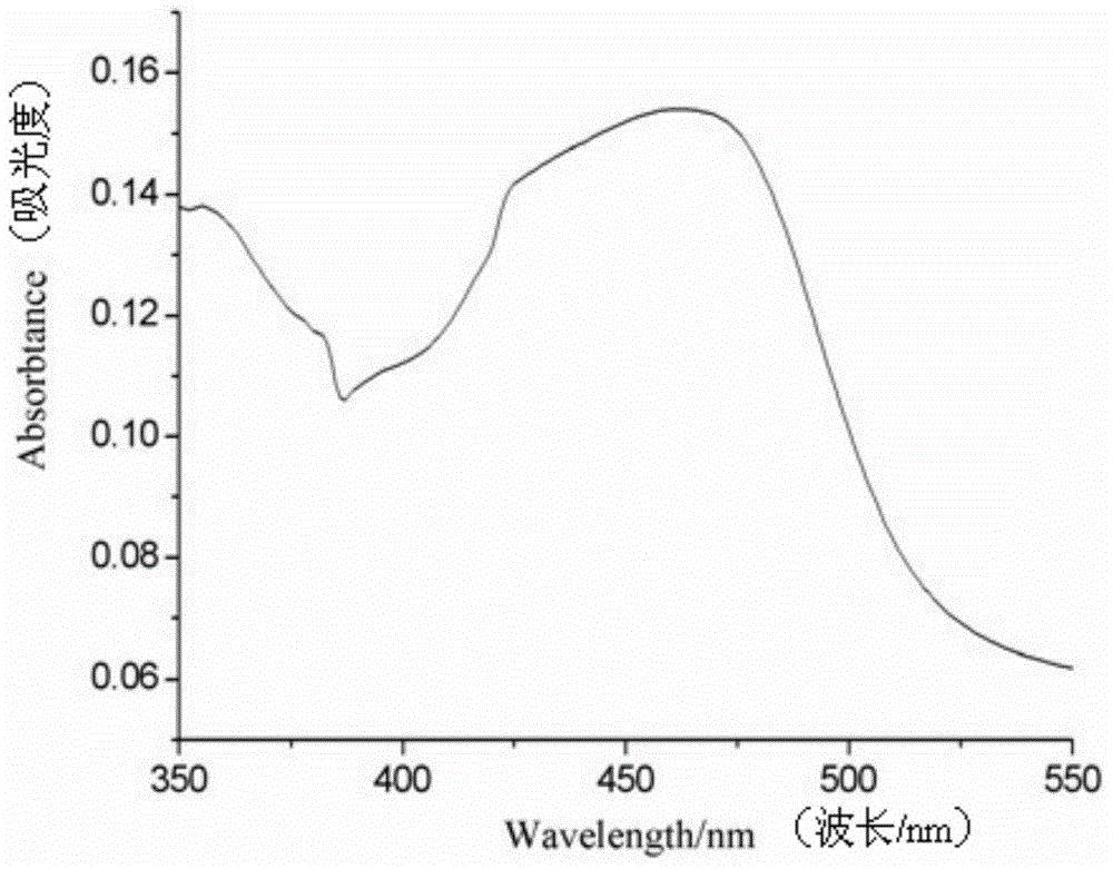 Nucleic acid detection method based on polymer electrochemiluminescence signal amplification technology