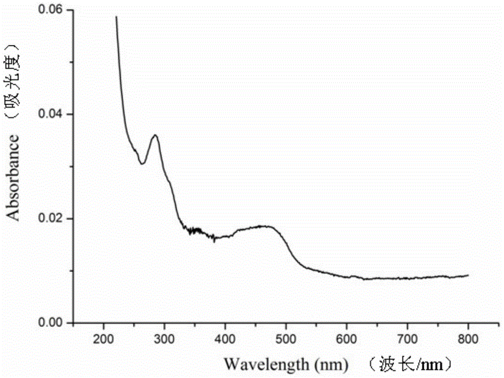 Nucleic acid detection method based on polymer electrochemiluminescence signal amplification technology