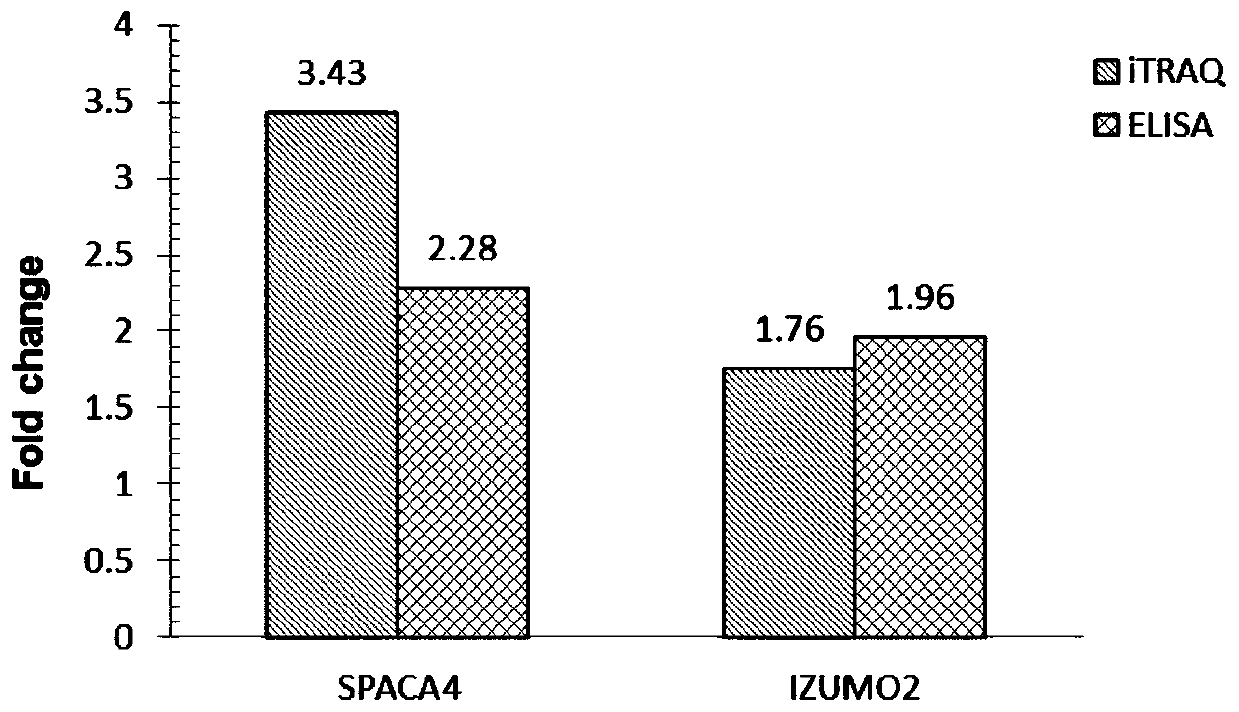 A sperm protein marker izumo2 closely related to the reproductive performance of breeding boars and its application