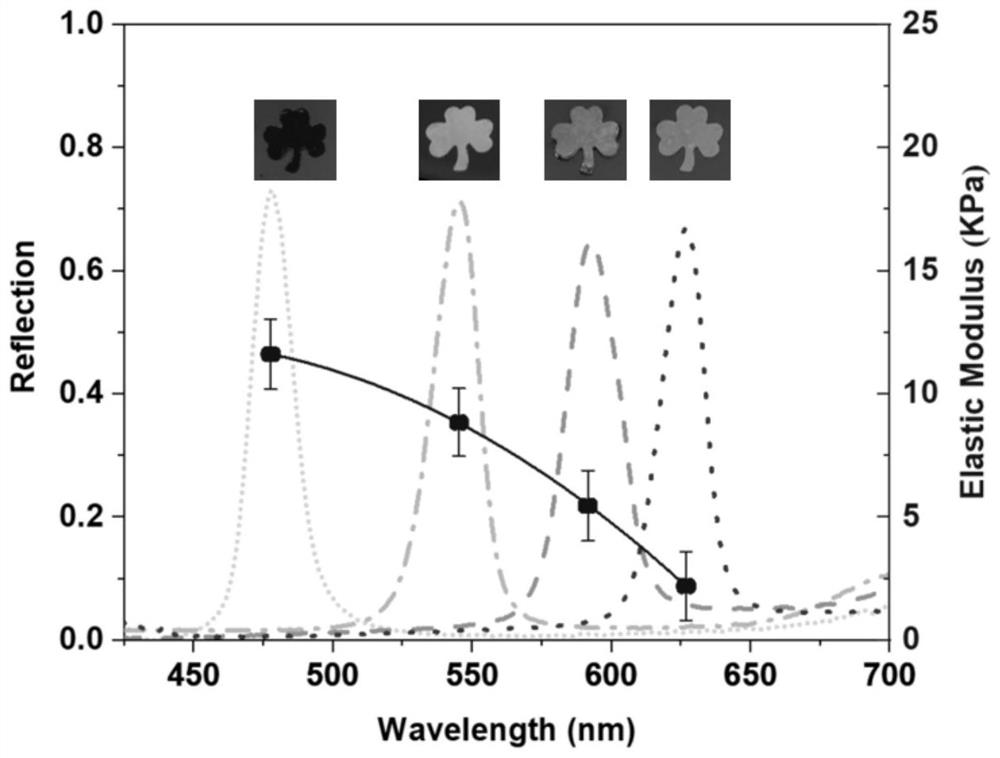 A photopolymerizable color gel with self-feedback hardness distribution and its preparation method and application