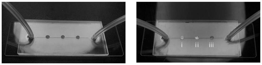 A photopolymerizable color gel with self-feedback hardness distribution and its preparation method and application