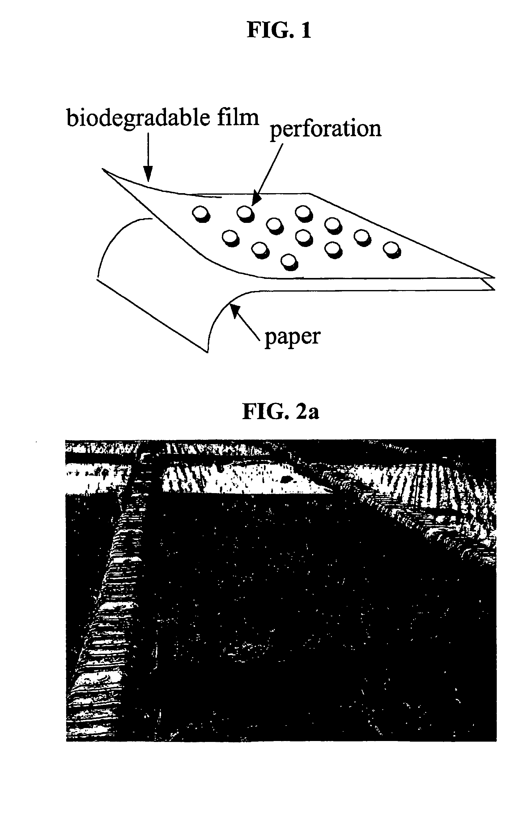 Biodegradable mulching-mat for preventing weeds and method for manufacturing the mat