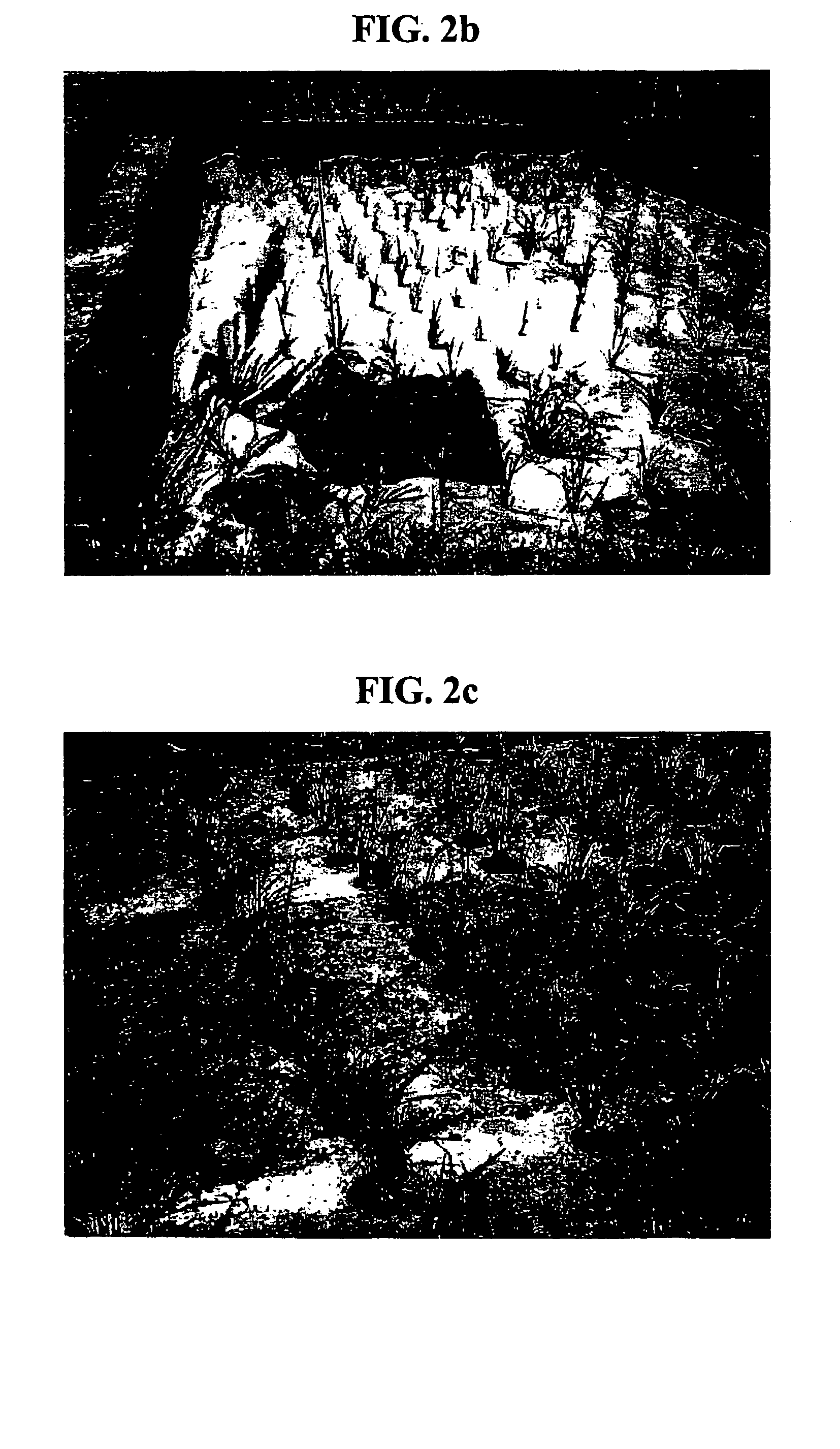 Biodegradable mulching-mat for preventing weeds and method for manufacturing the mat