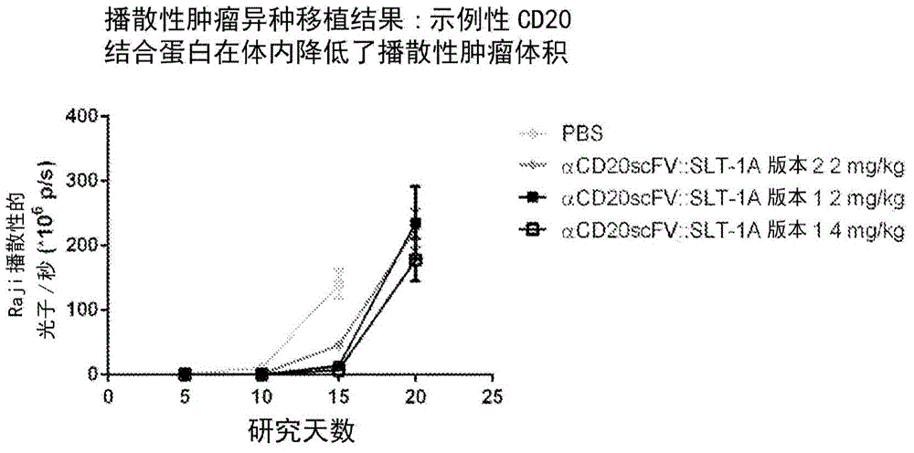 Cd20-binding immunotoxins for inducing cellular internalization and methods using same