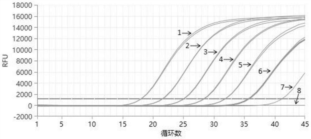 Fluorescent quantitative PCR primer group and kit for detecting European eel circovirus