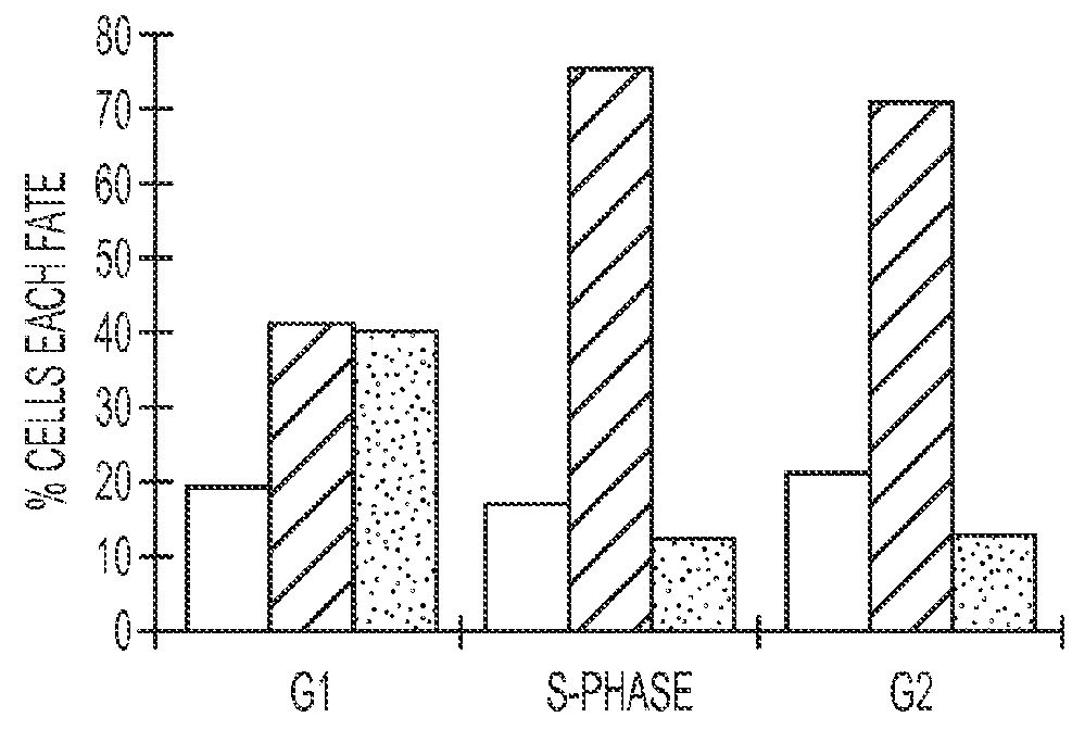 Family of synthetic polynucleotide-binding peptides and uses thereof