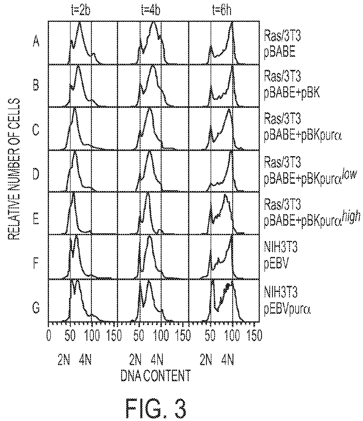 Family of synthetic polynucleotide-binding peptides and uses thereof