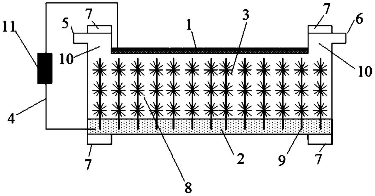 A bioelectrochemical device with bacteria and algae and its application