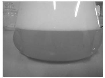 Method for high-density fermentation of bacillus subtilis strain and application