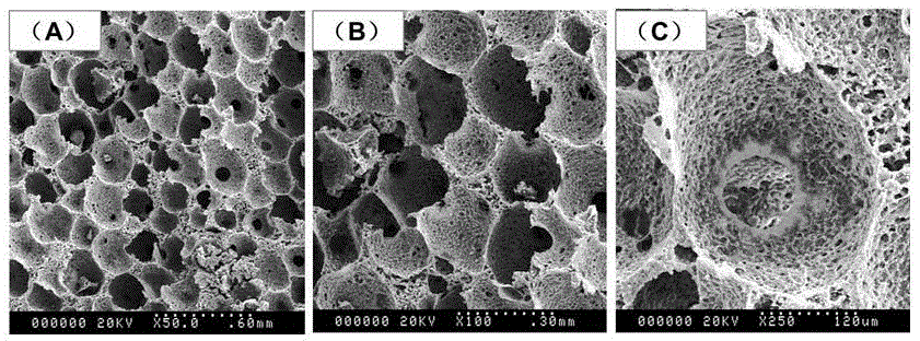 A kind of 3D uniform porous scaffold material and preparation method thereof