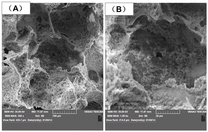 A kind of 3D uniform porous scaffold material and preparation method thereof