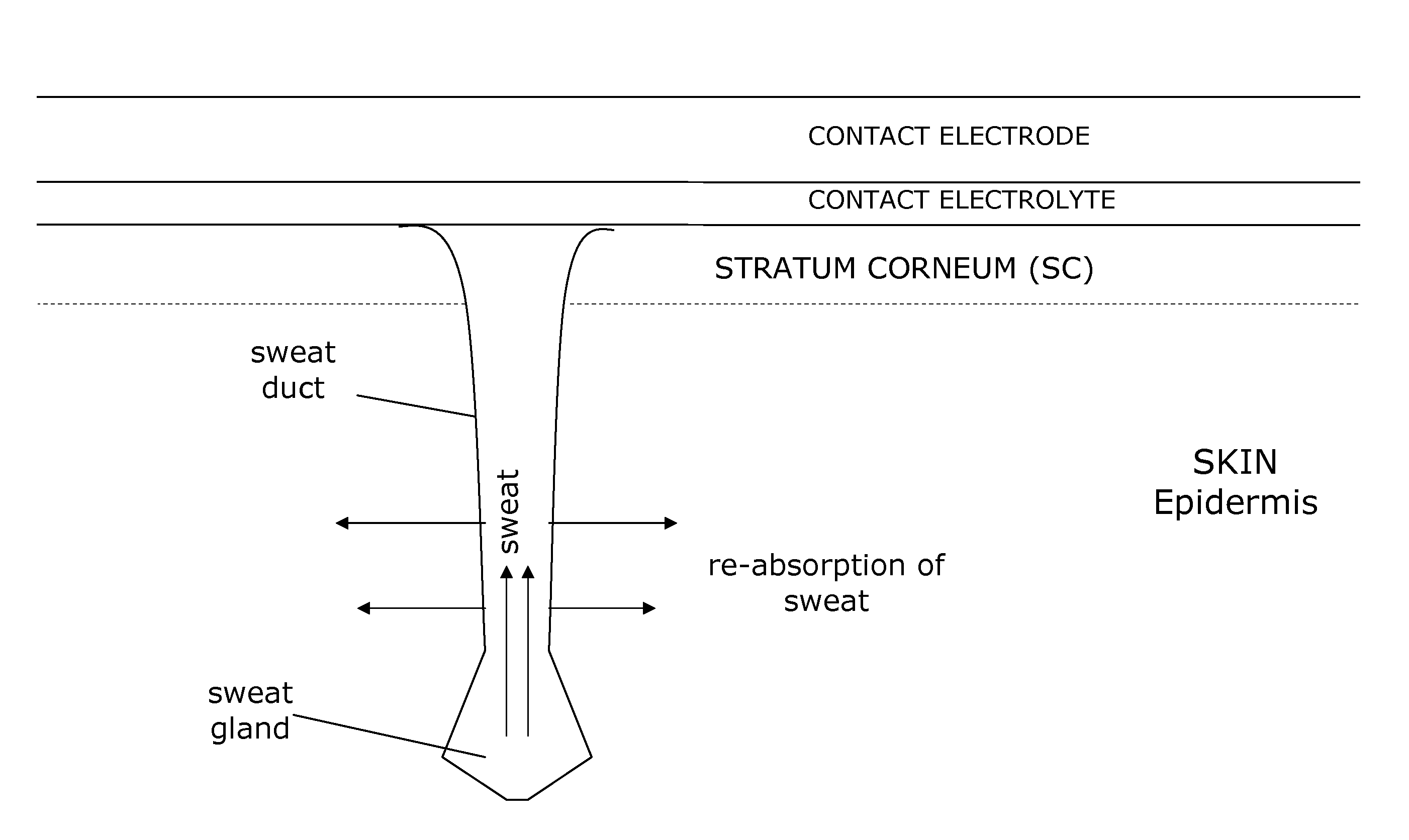 Method and kit for sweat activity measurement