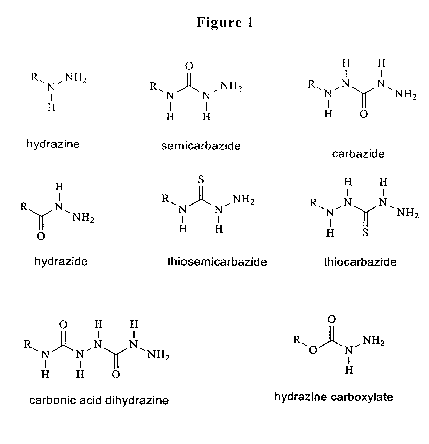 Functional biopolymer modification reagents and uses thereof