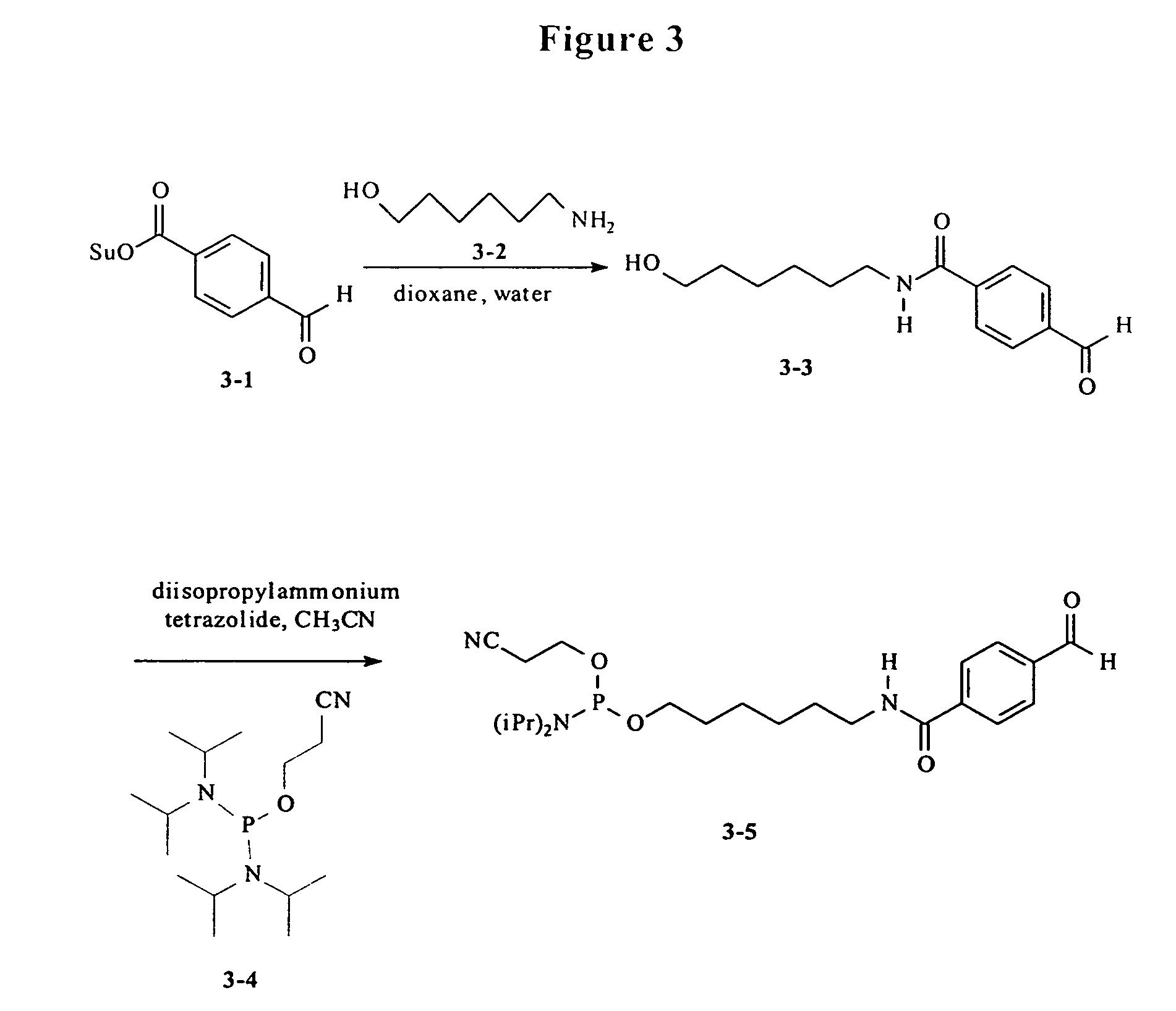Functional biopolymer modification reagents and uses thereof
