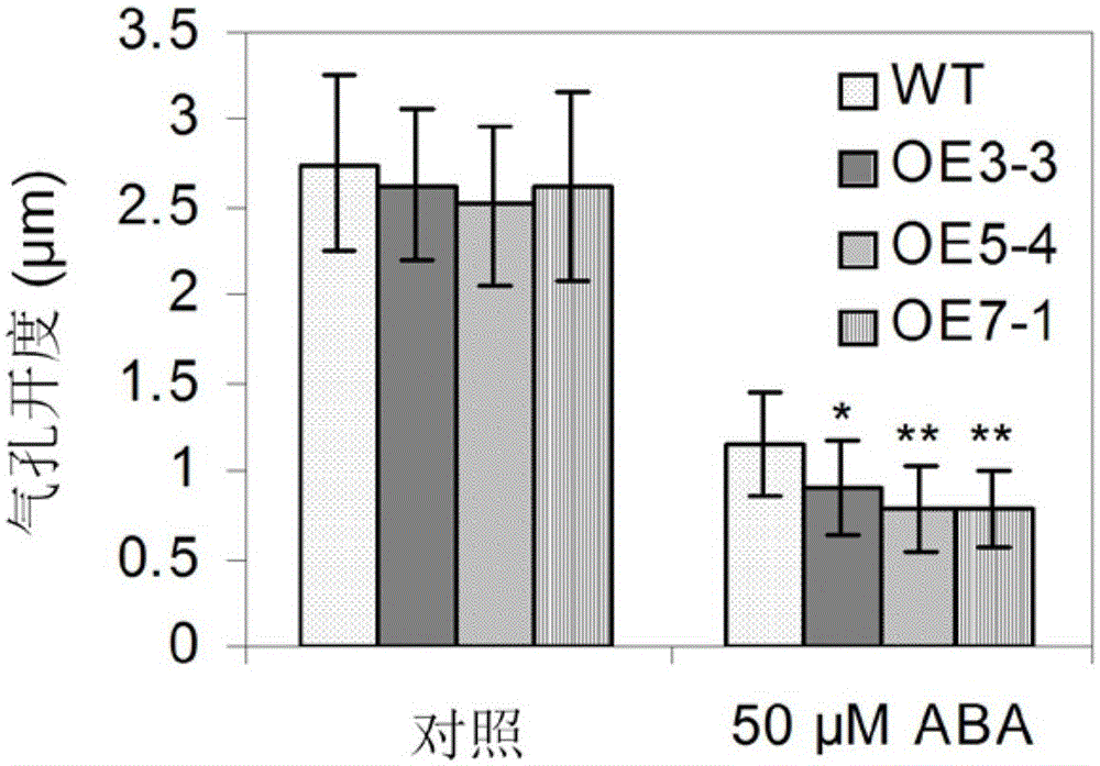 Application of pldα1 Gene in Increasing Drought Resistance and Seed Yield of Plants