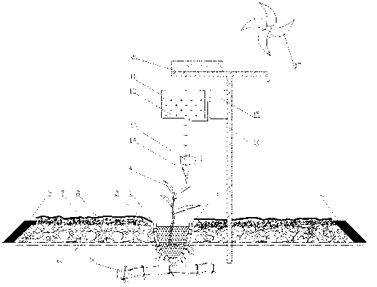 Method for cultivating tea on bamboo points