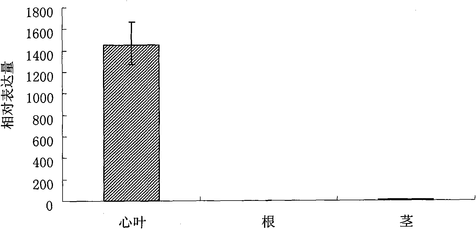 Promoter of specificity of heart leaves of Zea mays ssp. Mays L. and application thereof