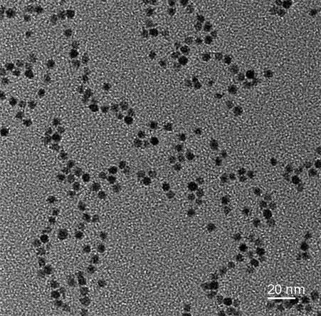 A kind of preparation method of near-infrared stannous sulfide nanoparticles