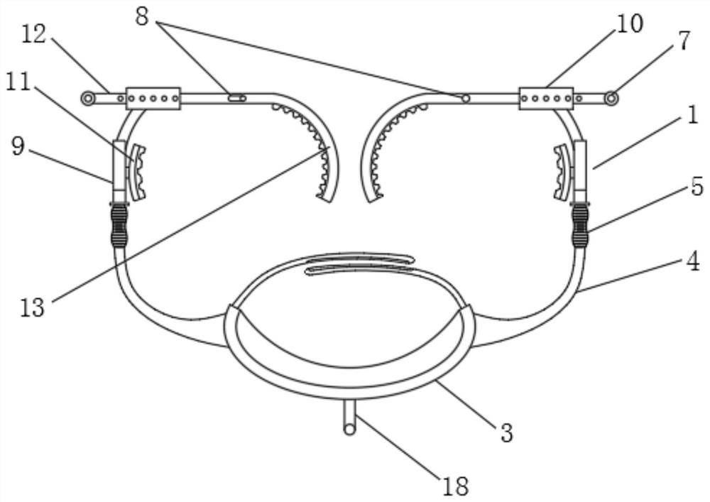 A climbing device for pruning landscape ginkgo trees