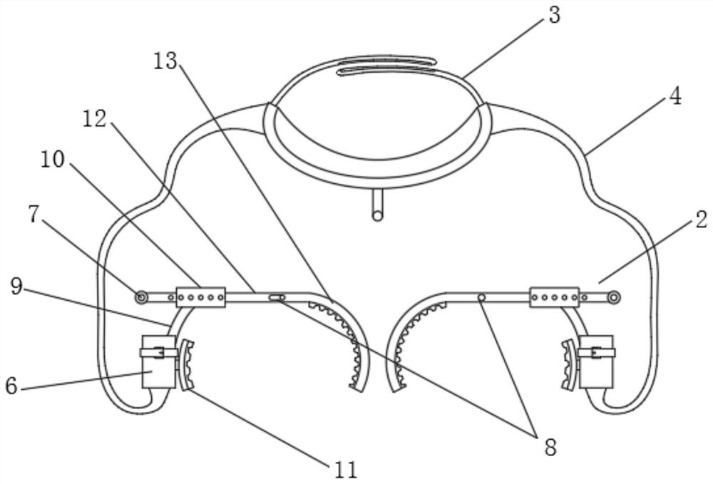 A climbing device for pruning landscape ginkgo trees