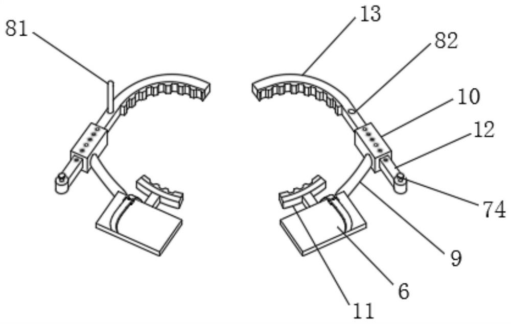 A climbing device for pruning landscape ginkgo trees