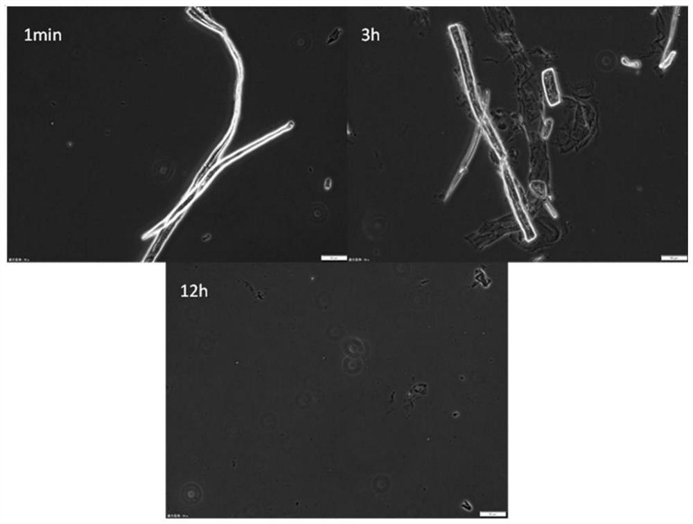 A method for reusing ionic liquid from waste liquid for preparing cellulose nanofibers