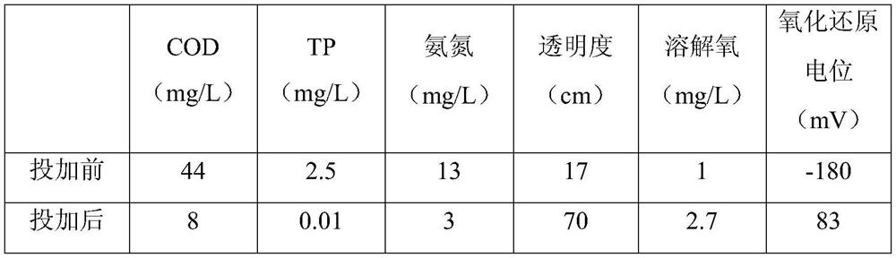A kind of microbial fast clarifying agent for black and odorous water body and preparation method thereof