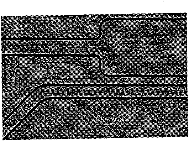 Preparation method for cell cultivation chip based on ITO glass substance and application thereof