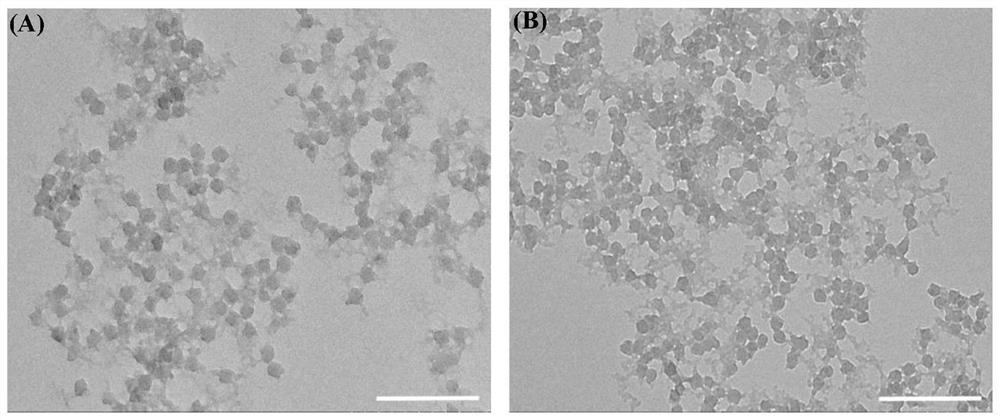 Multi-functional photo-thermal nano bactericidal material and preparation and application thereof