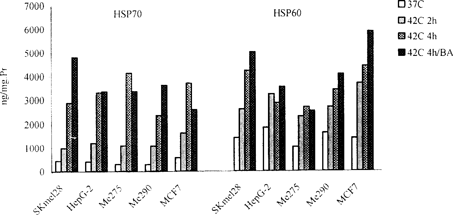 Dendron shaped cell tumour vaccine for loading withered heat shock tumour cell, its preparation method and application