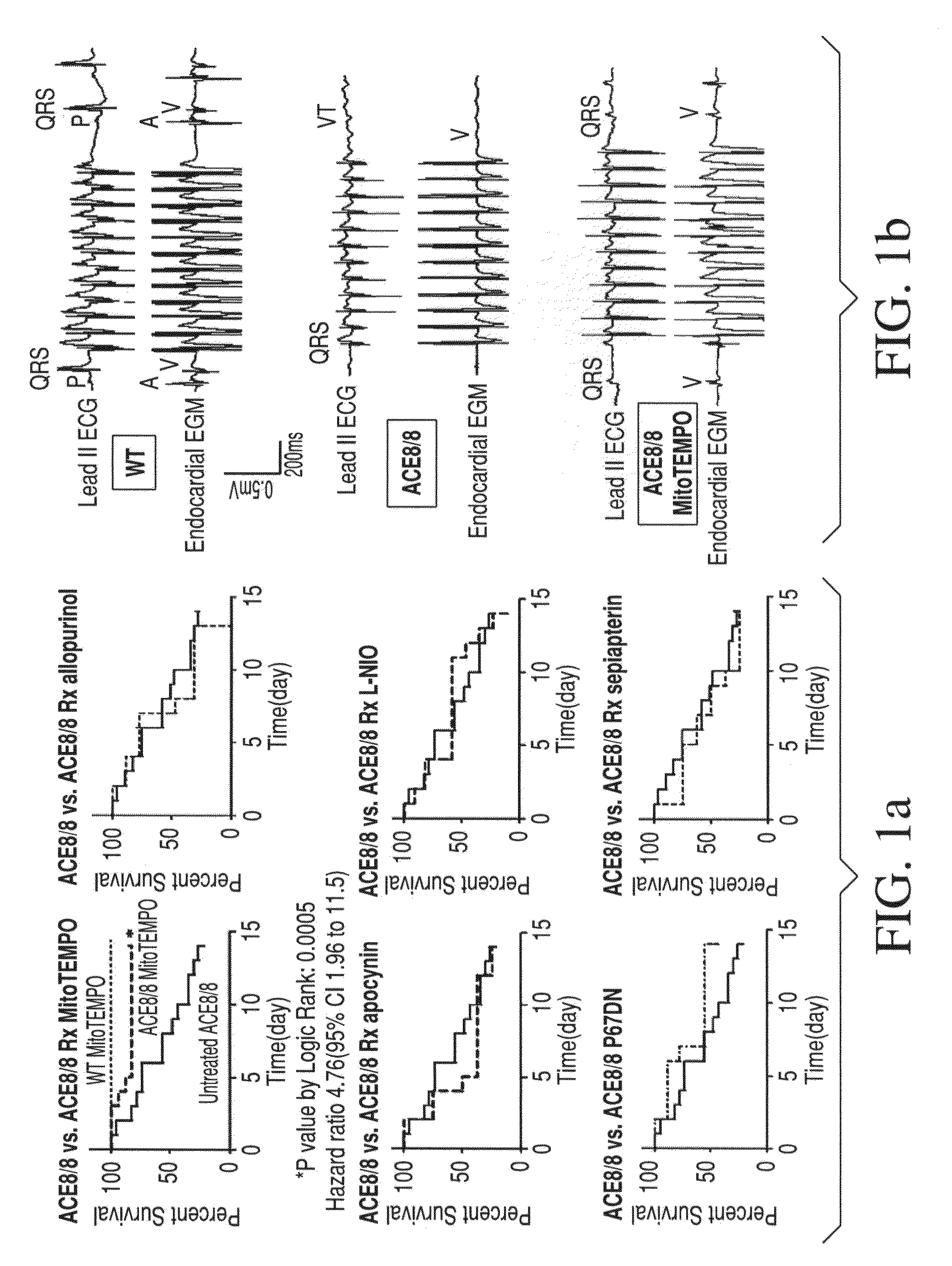 Method for modulating or controlling connexin 43(Cx43) level of a cell and reducing arrhythmic risk