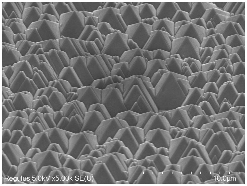 Texturing additive suitable for monocrystalline silicon wafer and application