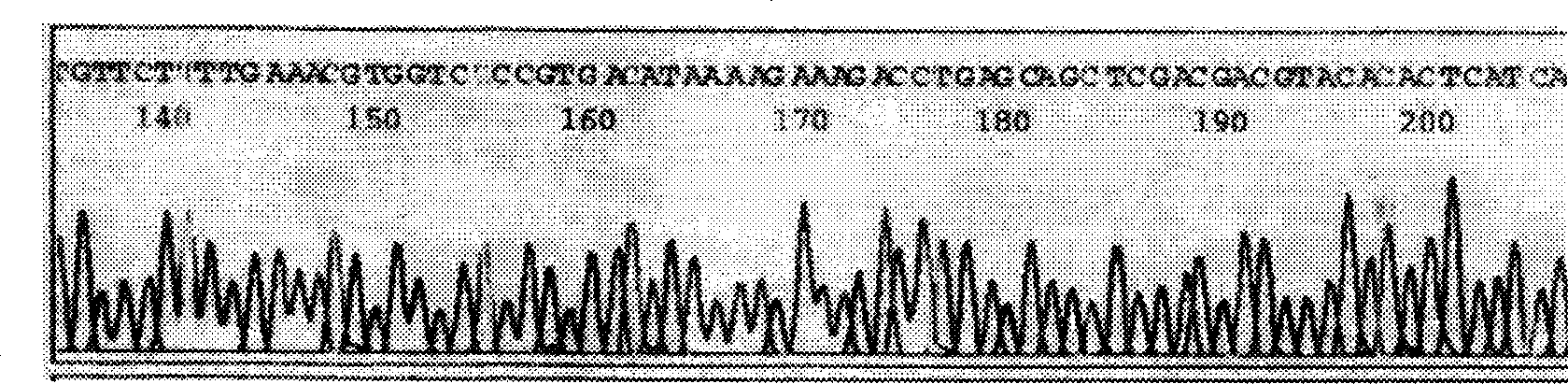 Method for detecting telomerase activity