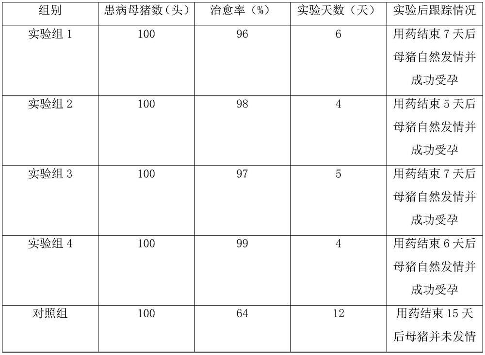 Use of shallots for treating sow metritis