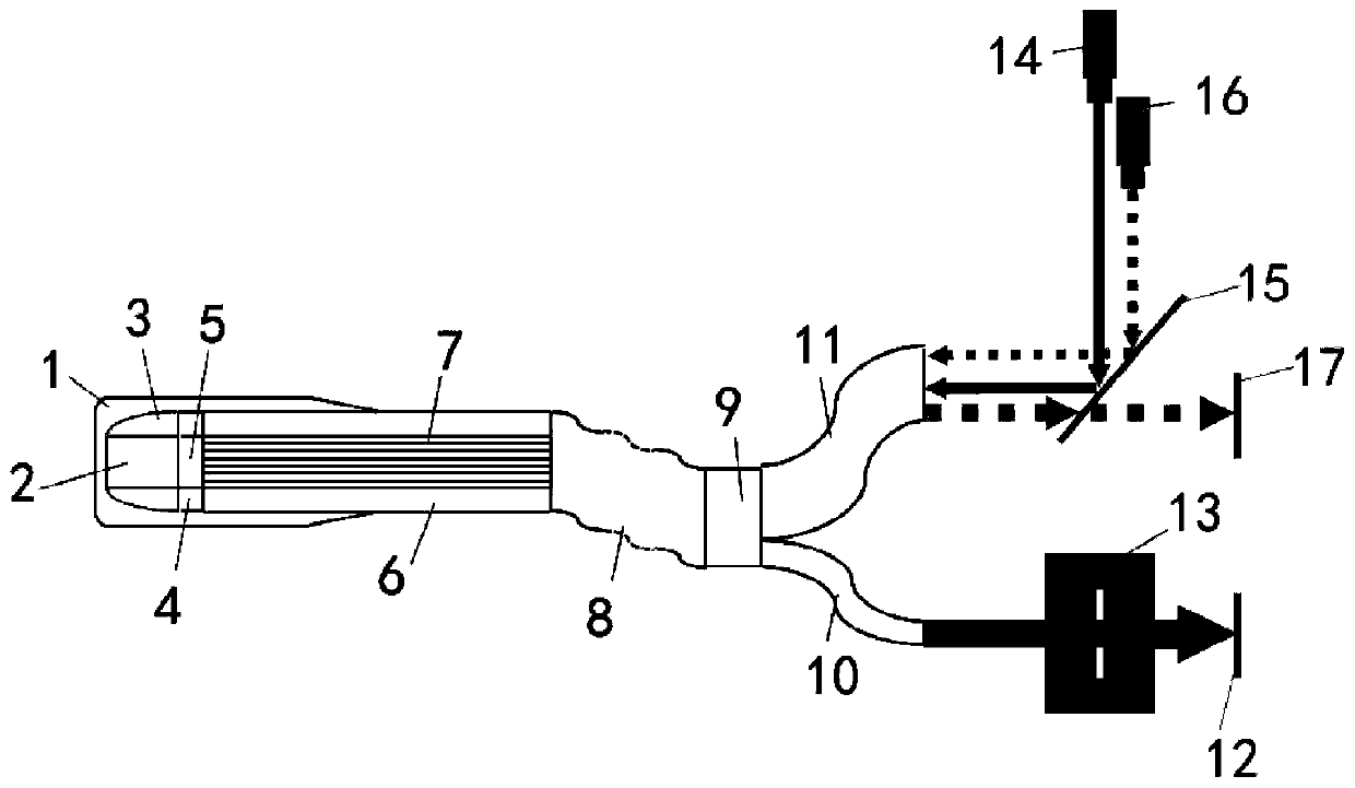 Endoscopic optical fiber Raman probe and detection device