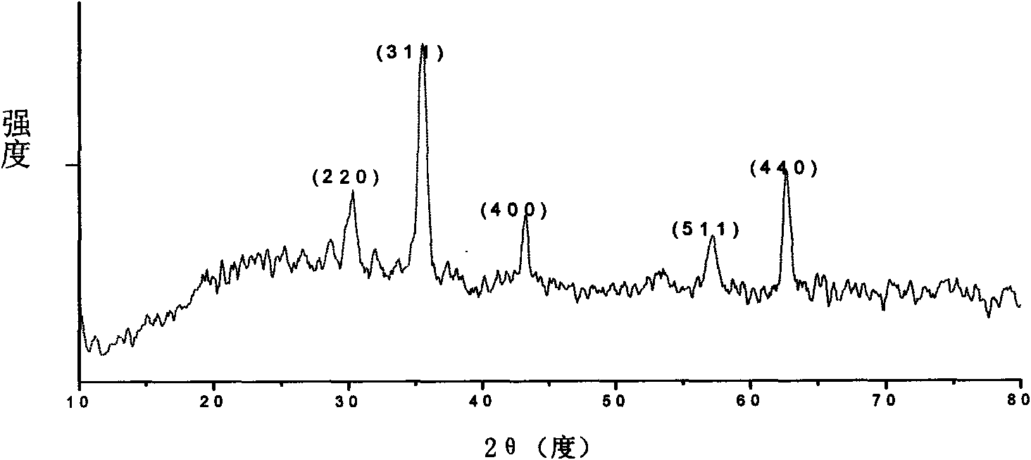Preparation method of superparamagnetic Fe3O4 nano-particles