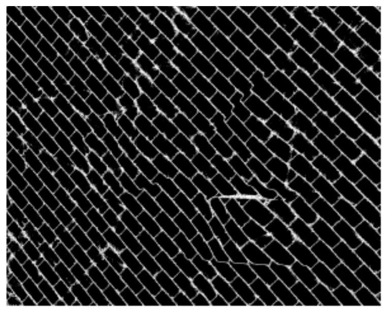 A Masquerading Detection Method Based on Composite Orthogonal Phase-Shifting Fringe