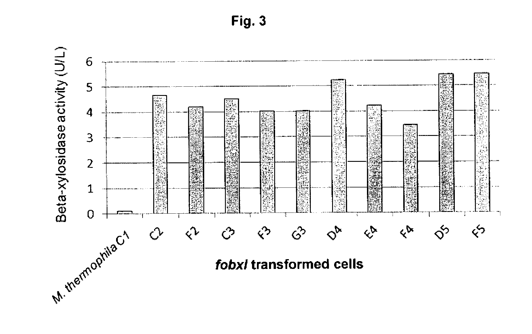 Expression of Recombinant Beta-Xylosidase Enzymes