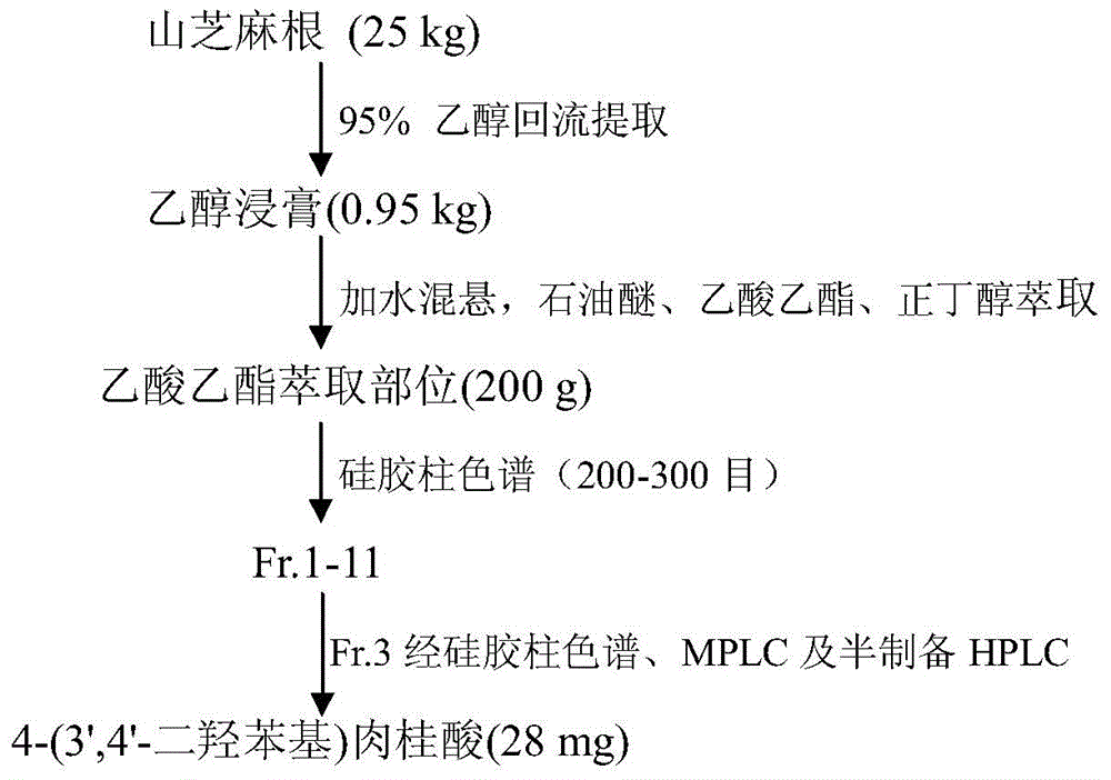 Application of biphenyl compound 4-(3', 4'-dihydroxy phenyl) cinnamic acid in drug preparation